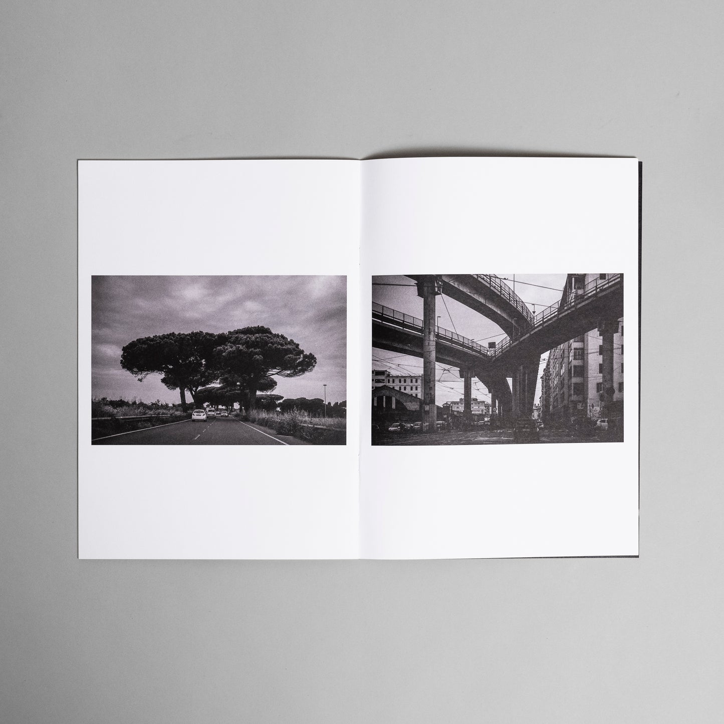 The Long Road To Pasolini