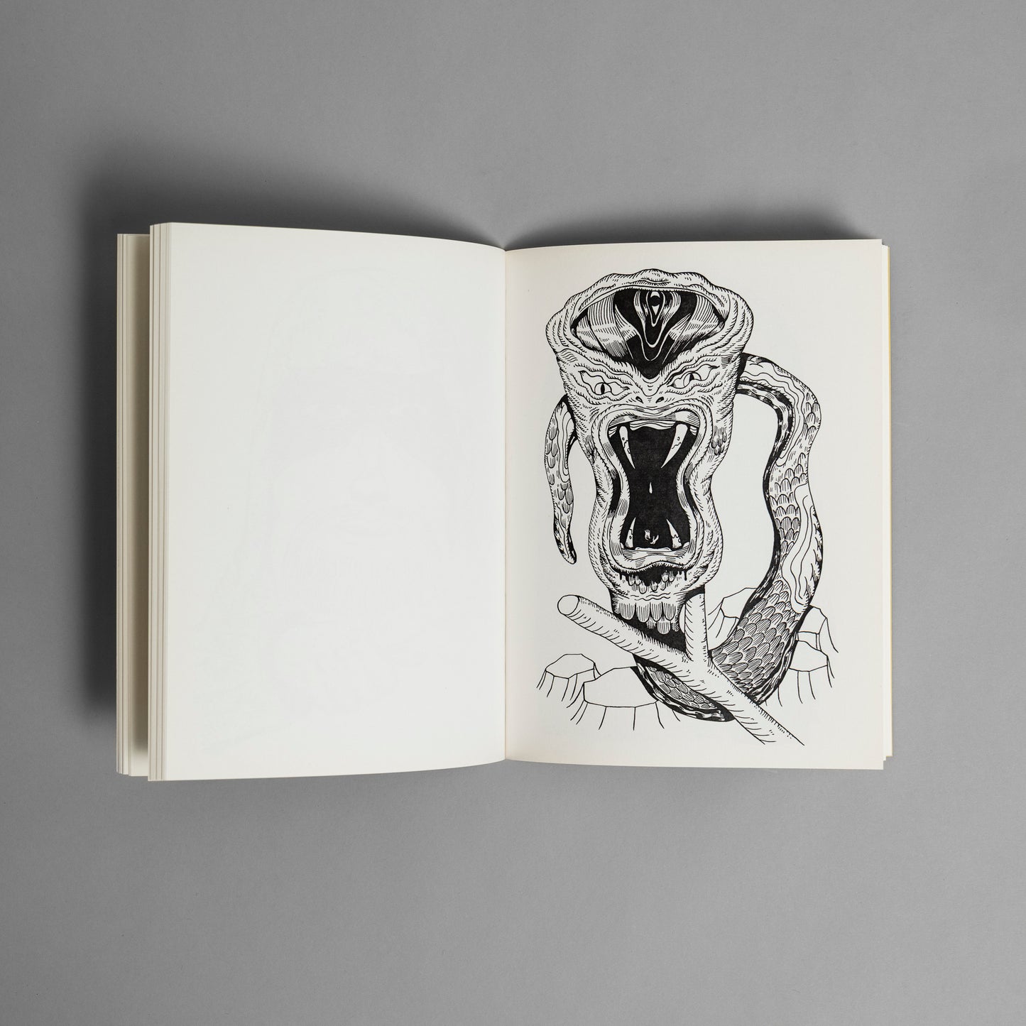 SUPERBLAST DRAWINGS 2019-22 Vol.1 (signed/numbered)